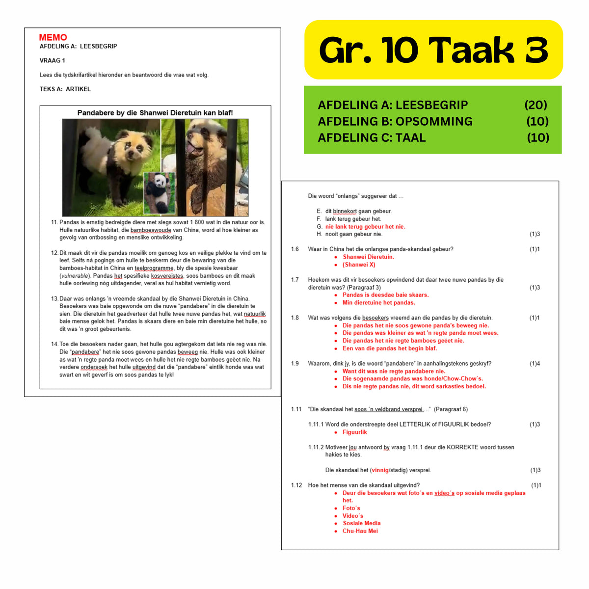 Graad 10 Afrikaans EAT Taak 3 2025